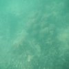 dscn1644
